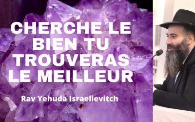 Cherche le bien tu trouveras le meilleur – Tanya du jour Hechvan 5783 – 08/11/22 – Rav Yehuda Israelievitch