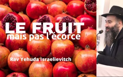 Le fruit mais pas l’écorce – Tanya du jour 8 Hechevan 5783 – 02/11/22 – Rav Yehuda Israelievitch