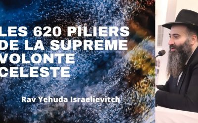 Les 620 piliers de la suprême volonté céleste – Tanya du jour 20 Hechvan 5783 – 14/11/22 – Rav Yehuda Israelievitch