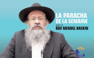 Parchat Toldot, Avec le Rav Mendel Raskin
