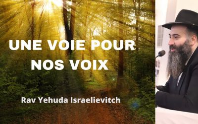 Une voie pour nos voix – Tanya du jour 28Hechvan 5783 – 22/11/22 – Rav Yehuda Israelievitch