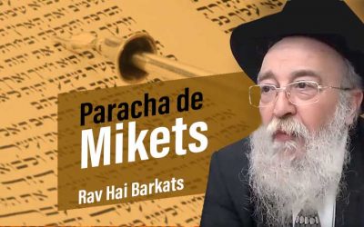 Parachat Mikets 5783 par le Rav Haï Barkats