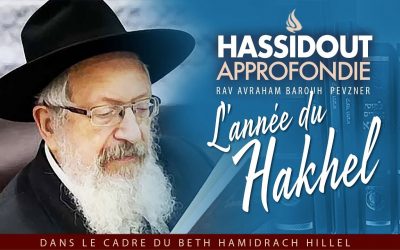 Hassidout approfondie : « L’année du Hakhel », par le Rav A. B. Pevzner