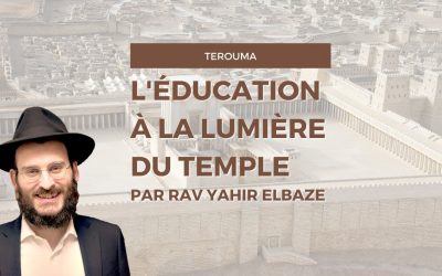 L’éducation à la lumière du Temple – Terouma