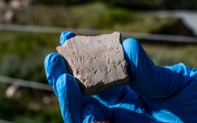 La découverte archéologique qui bouleverse l’histoire : une inscription rare révèle des secrets sur le père d’Assuérus