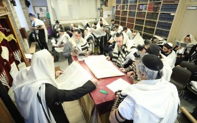 EN IMAGES. Fête de Pourim au Beth Habad de Flandre : une journée de Mivtsaïm et de lecture de la Méguila non-stop
