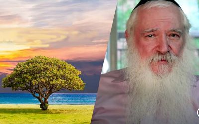 « Voici ce que personne ne vous a dit sur Adam et Eve » par le Rav Manis Friedman