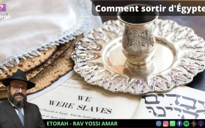 Pessa’h – La Hagada commentée par le Rabbi de Loubavitch #8: Comment sortir d’Egypte aujourd’hui ?