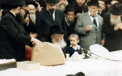 Si’ha du Rabbi sur « Mi Hou Yéhoudi », lors du Farbrenguen de Pourim 1984 : « Tous les partis politiques (en Israël) ont abandonné leur idéologie »