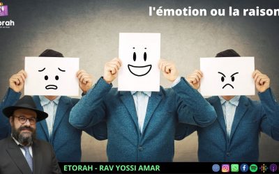 Chaar Hayi’houd véhaémouna #2: l’Emotion naturelle et l’émotion artificielle, quelle différence ?