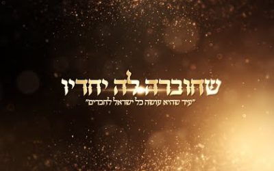 Regardez : « Ahavat Israël entre les Temimim » un nouveau film sur l’unité et de l’amour envers le peuple juif