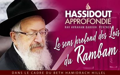 Hassidout approfondie – « Le sens profond des Lois du Rambam » par le Rav Avraham barou’h Pevzner