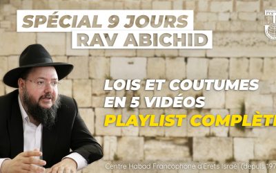 Halakha : Lois des 9 Jours – Playlist complète du Rav Mi’hael Abichid