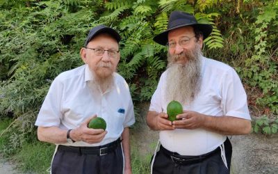 Entretien exclusif avec le Rav Reuven Matusof Chalia’h du Rabbi à la Lichka: Les secrets des étroguim de Calabre