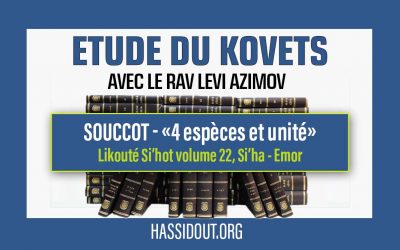 Vendredi 29 septembre 2023 à 10h30 : Etude du Kovets de Souccot – « 4 espèces et unité » –  Rav Levi Azimov
