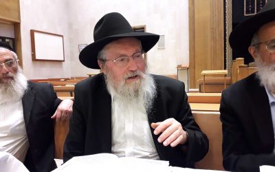 AUDIO. Etude d’une Si’ha du Rabbi – « Roch Hachana qui tombe un Chabbat 5749 » – Rav ‘Haïm Nisilevitch (en hébreu)