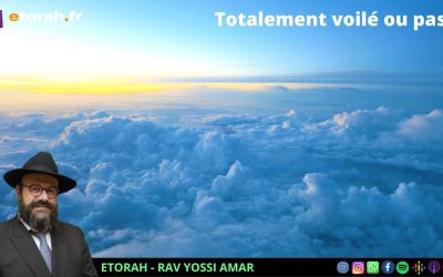 Chaar Hayi’houd véhaémouna #16 Ch. 5.2: A quoi sert de pratiquer la Torah et les mitzvots ?!