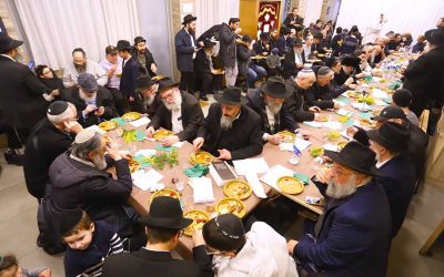 EN IMAGES. Fête de Tou Bichevat 5784, organisée par la famille Gabay, au Beth Habad de Flandre