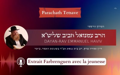 Extrait Farbrenguen : Tetsave – Moche dans chaque génération !