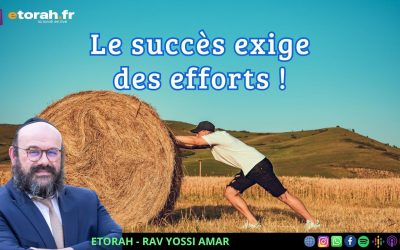 Behar : Pourquoi tout gain nécessite-t-il un effort ?