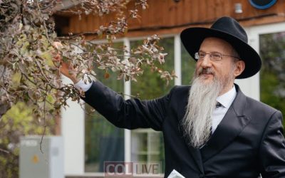 Russie : Bénédiction des arbres dans le parc visité par le Rabbi précédent