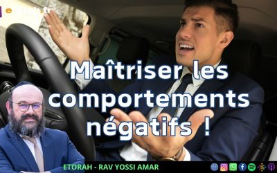 Lois des « devoirs envers son prochain » #4: Comment gérer les comportements négatifs ?
