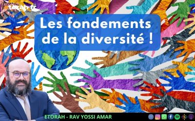 Chaar Hayi&rsquo;houd véhaémouna #31 Ch. 12: D&rsquo;où vient la multiplicité si le Créateur est Un ?