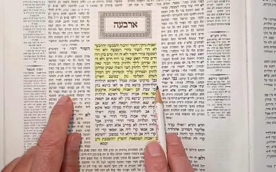 Une nouvelle chaîne YouTube révolutionne l’étude du Talmud en français