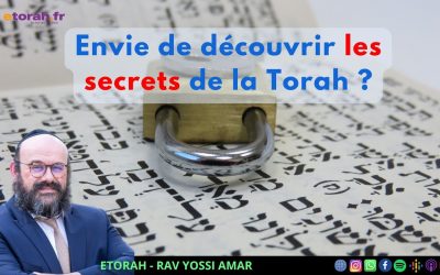 Noah: Quels trésors cachés se trouvent dans les enseignements de Rachi ?