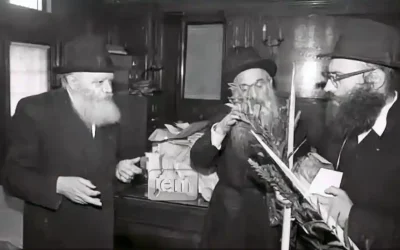 Le Rabbi distribue un Loulav et un Etrogue