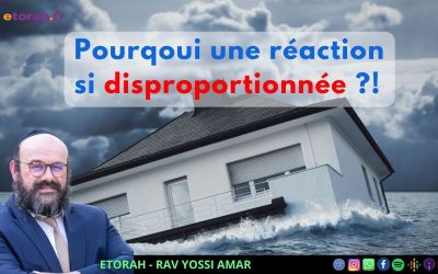 Noah: Le déluge – Pourqoui une réaction si disproportionnée ?!