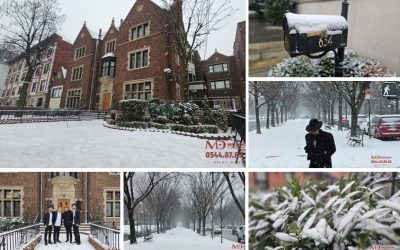 EN IMAGES. Crown Heights sous la neige – Quand le blanc recouvre le 770 Eastern Parkway