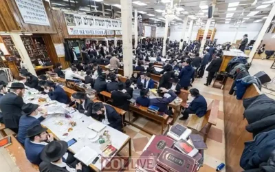 EN IMAGES. Farbrenguen du 24 Tevet, Hilloulah du Admour Hazaken, au 770