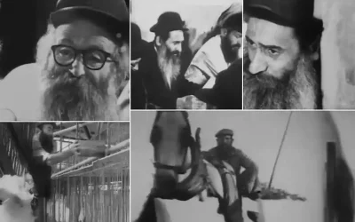 13 Tevet :  Le Rav Moshe Vichetzky (1912-1986) : Un pilier du hassidisme Habad