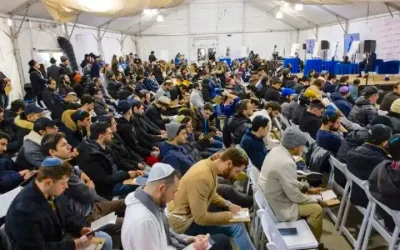 700 jeunes professionnels se réunissent au Ohel : entre tradition et renouveau