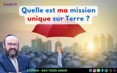 Iguérèt HaKodech Ch. 7 #2: Quelle est ma mission unique dans ce monde ?