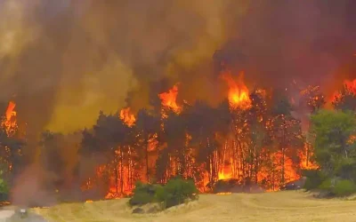 Des incendies ravagent les Monts de Jérusalem: une situation d&rsquo;urgence nationale