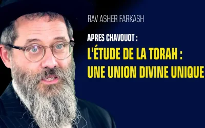 L&rsquo;Étude de la Torah : Une union divine unique