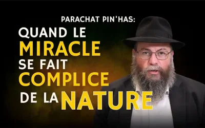 Parachat Pin&rsquo;has: Quand le miracle se fait complice de la nature, Par Rav Chmouel Brodowicz