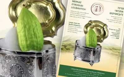 Le Merkaz Etroguei Loubavitch : Horaires des ventes d&rsquo;Etroguim de Calabre et de Loulavim pendant la semaine de Kippour
