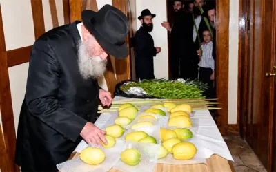 le Rav Lévi Bistritski raconte : « Comment le Rabbi choisissait-il les quatre espèces de la fête de Souccot ? »