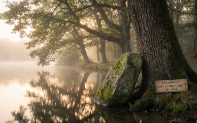 Ce que nous apprend le «Chaar Habitahon»  de Rabbenou Bé&rsquo;hayé ibn Paquda – Un guide pratique pour réussir sa vie