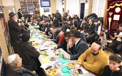 Tou Bichvat 5786  au Beth Habad Flandre : une célébration exceptionnelle avec 112 variétés de fruits