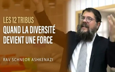 Les douze tribus : quand la diversité devient une force