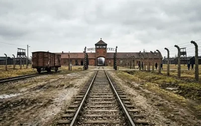 Quand l&rsquo;intelligence ne suffit plus : Ho&rsquo;hma, Bina et le secret du Da&rsquo;at face à la barbarie