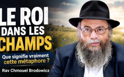 Le Roi est dans les champs : que signifie vraiment cette métaphore ?