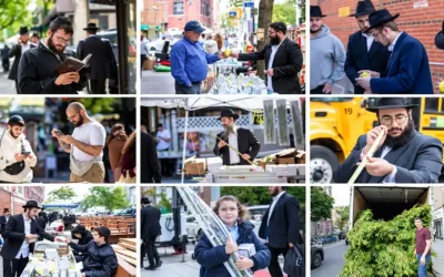 PHOTOS. Crown Heights se prépare à Souccot au rythme du marché des Quatre Espèces
