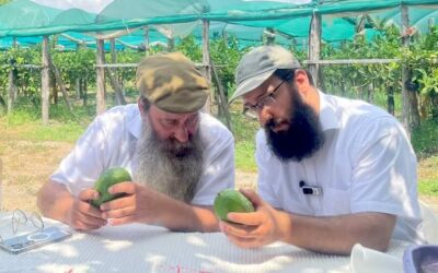 Les Etroguim de Calabre 5787 de la Lichka Loubavitch de Paris sont disponibles dès Motsaeï Chabbat Sli&rsquo;hot