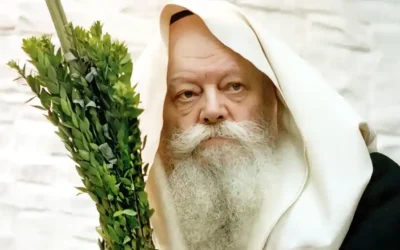 Dormir dans la Souccah ? Pourquoi les &lsquo;Hassidim Habad s&rsquo;en abstiennent ?
