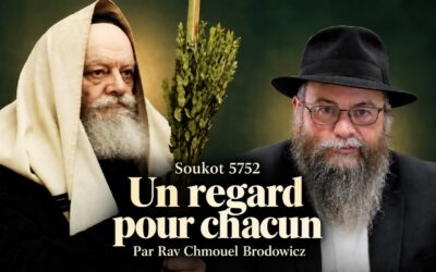 Souccot 5752 / 1991 : Un regard pour chacun  –  Rav Chmouel Brodowicz